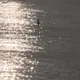 블부리
