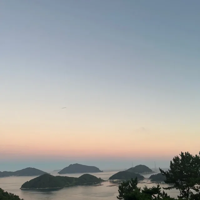 불새매
