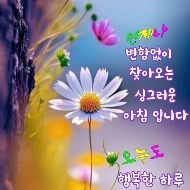 비움