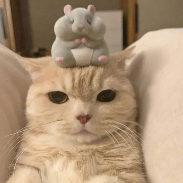 뺙이