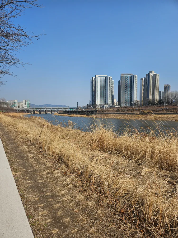 캐롯