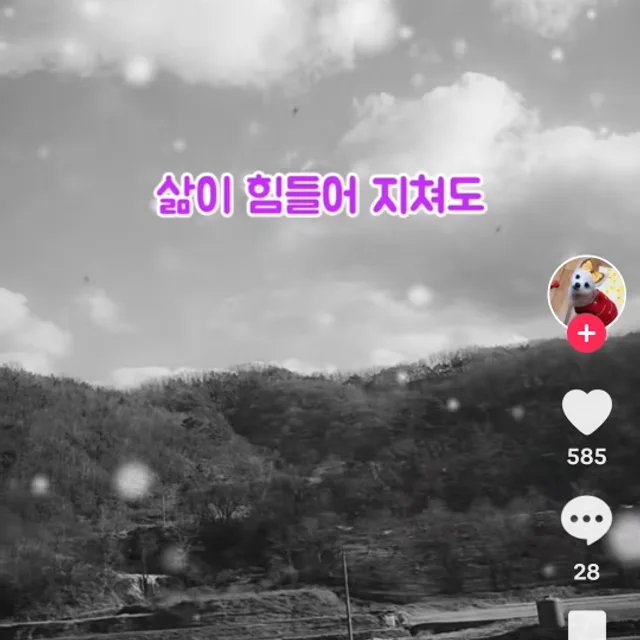소주한잔먹자