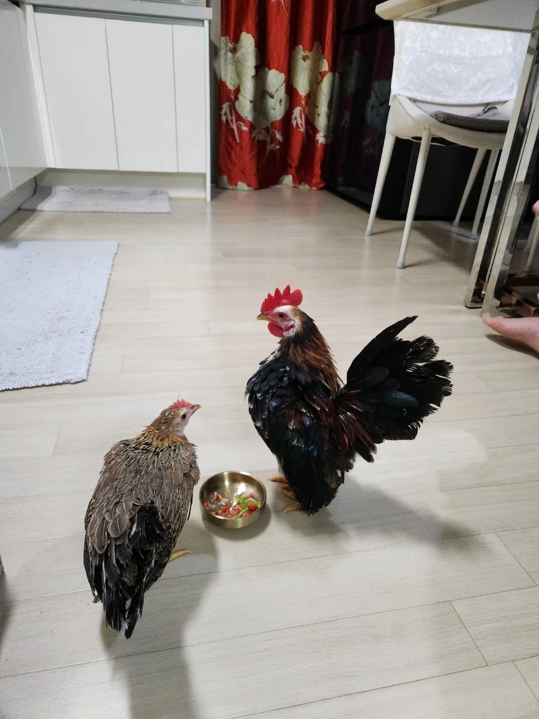 방랑자