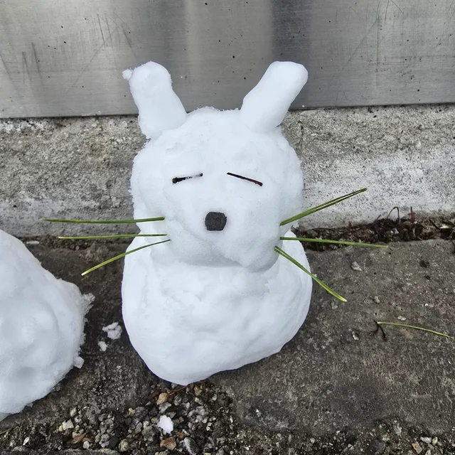 사랑초