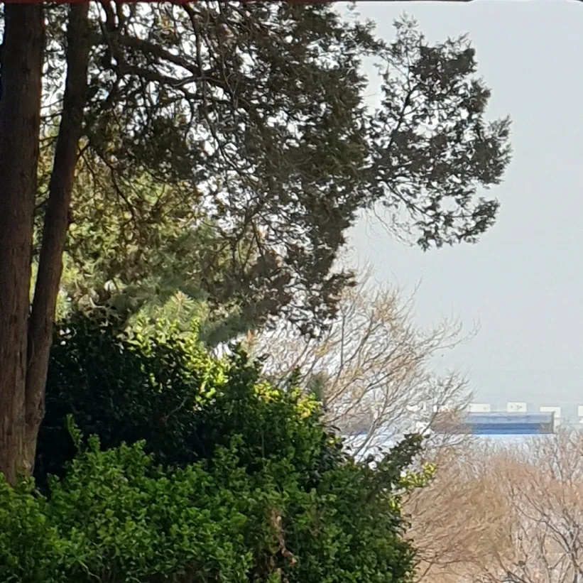 빵러버