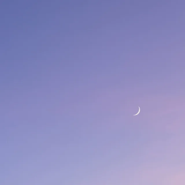 달봄