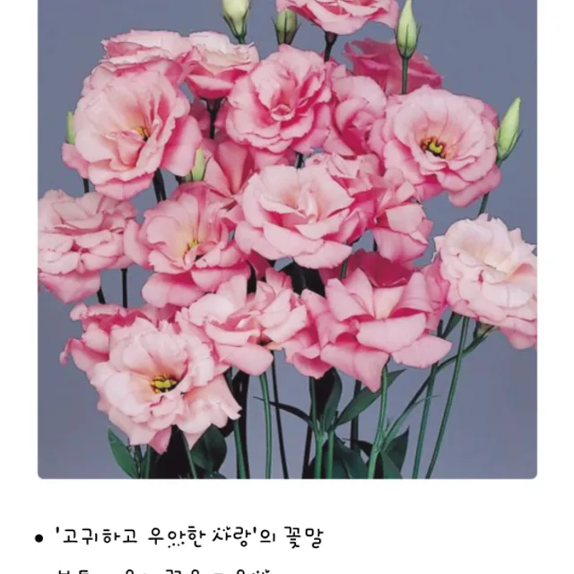 비움