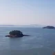 육식