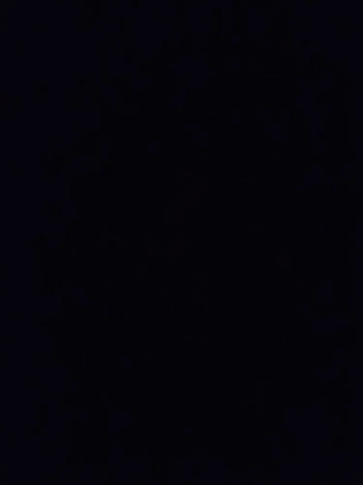 키티