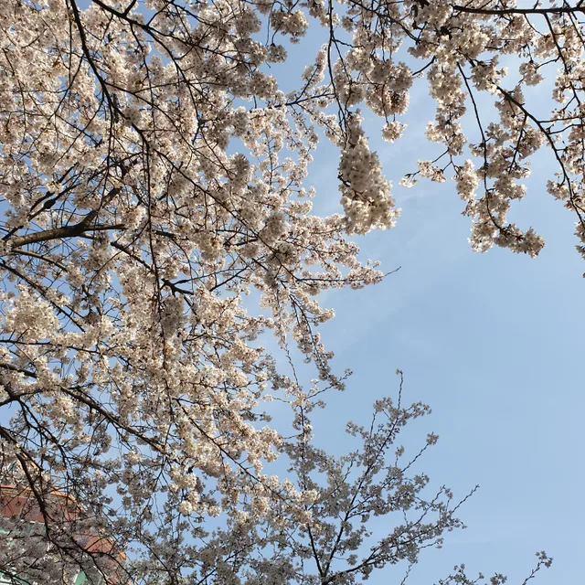 간소한삶