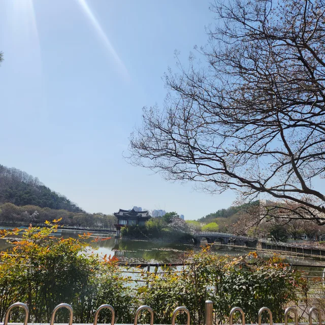 개구리왕눈이