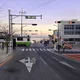 당근코코