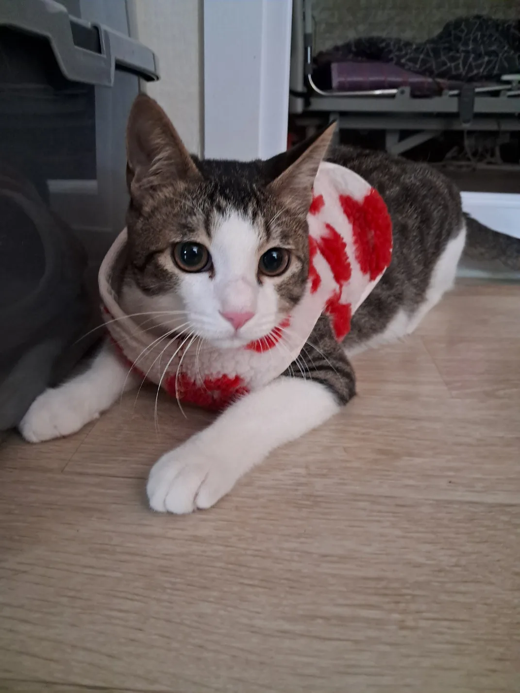 소율아빠