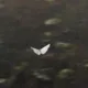 후략