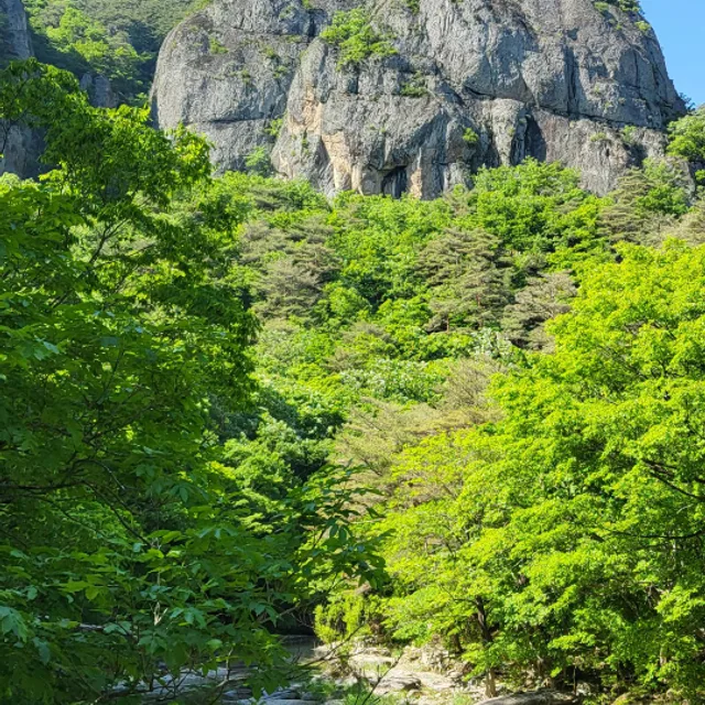 금강