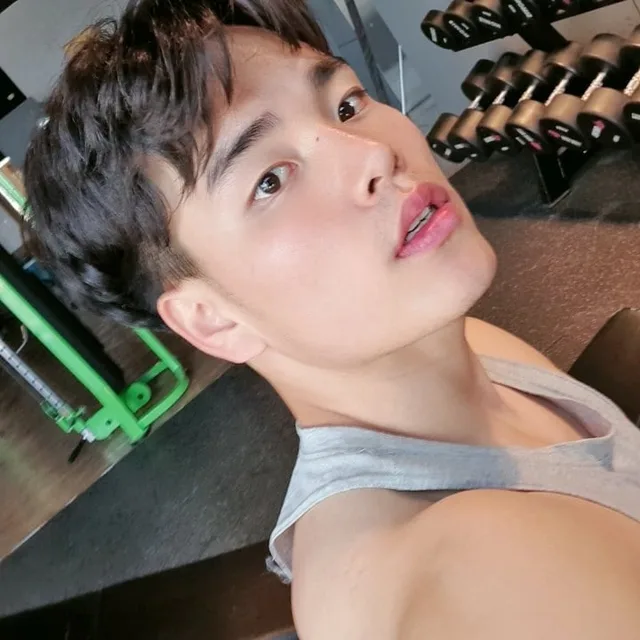 로로디