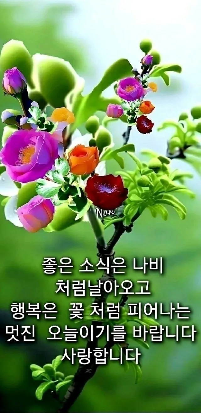 리플