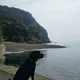 발루