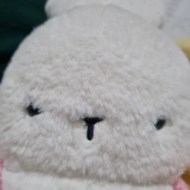 펭귄