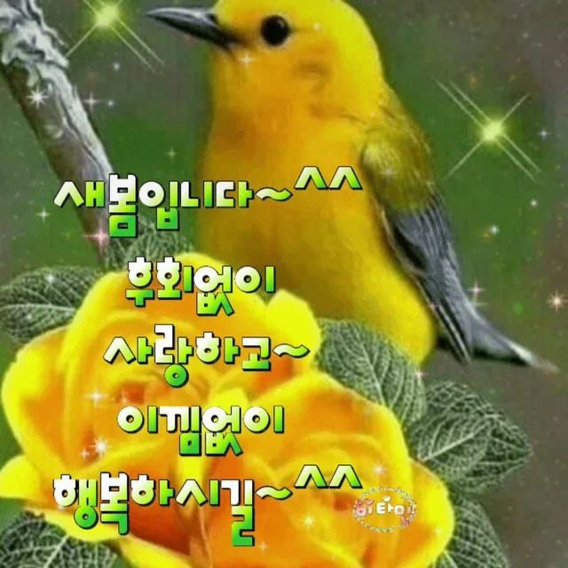 데이지