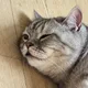 랭보