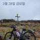 피오나공주