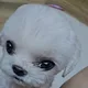 막장철퇴폭발