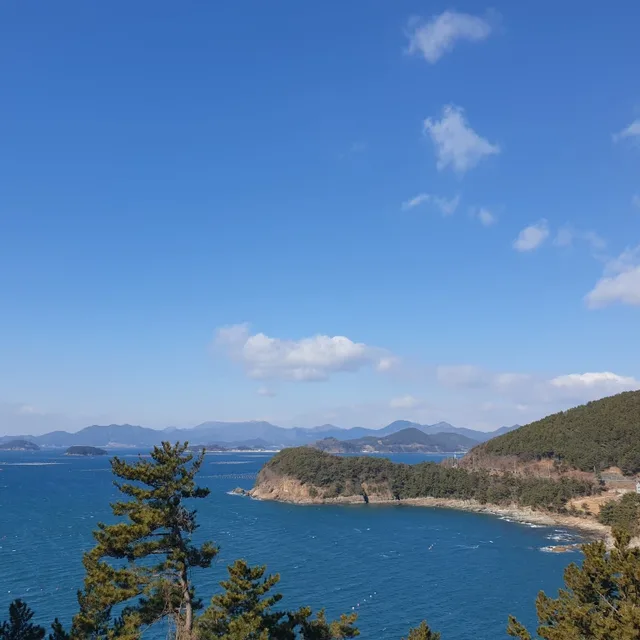 레몬트리