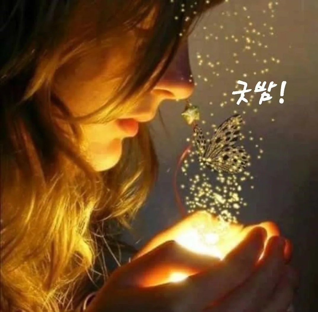초보남동구76