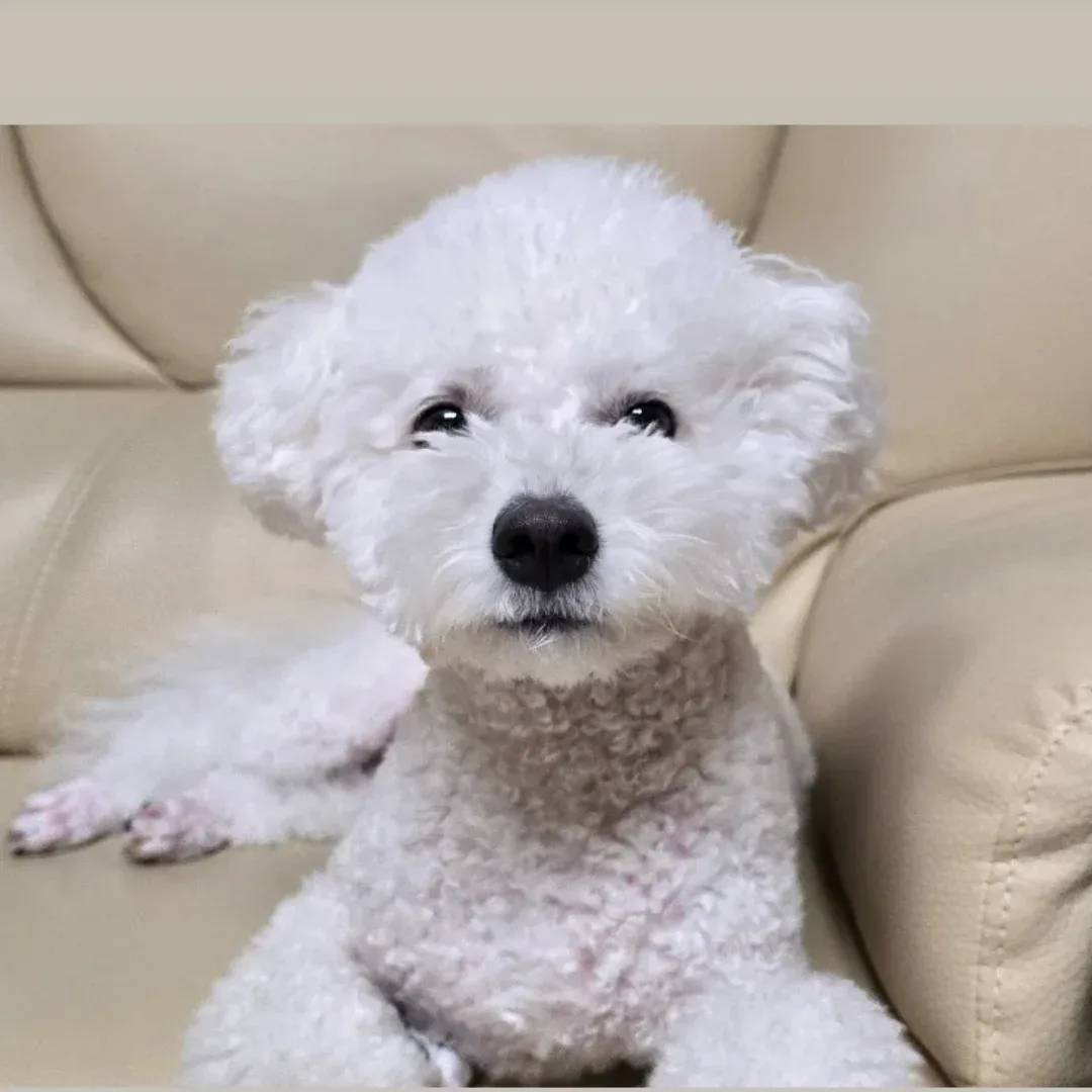 빌스마일