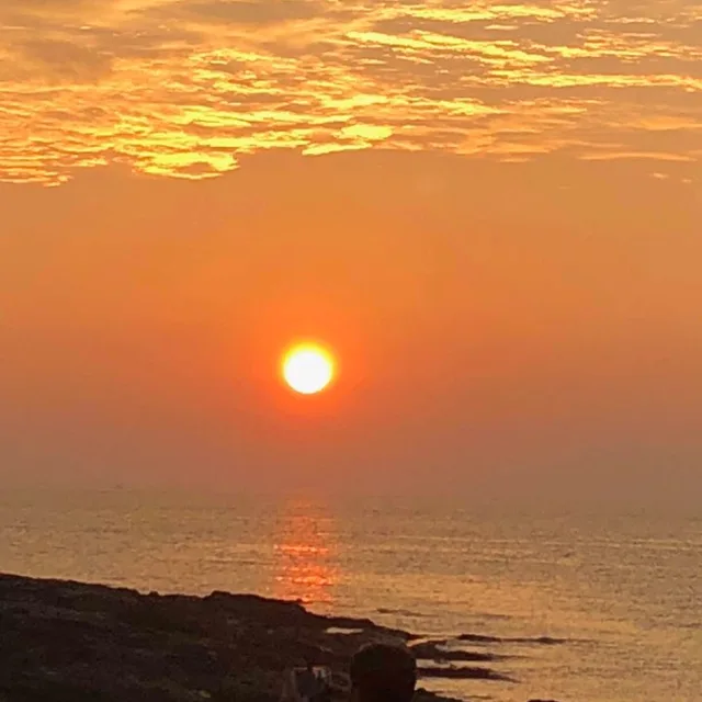 뽀송뽀송