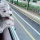 리디아