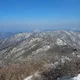 달빛
