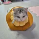 쿠욱희