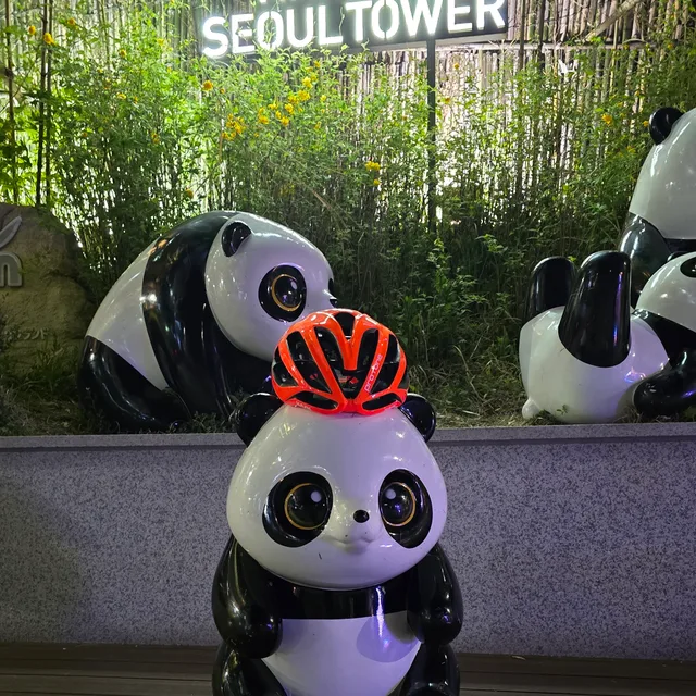 이사왔어요