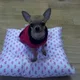 나나엄마