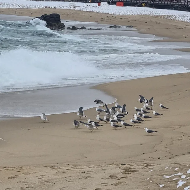 팔쟈