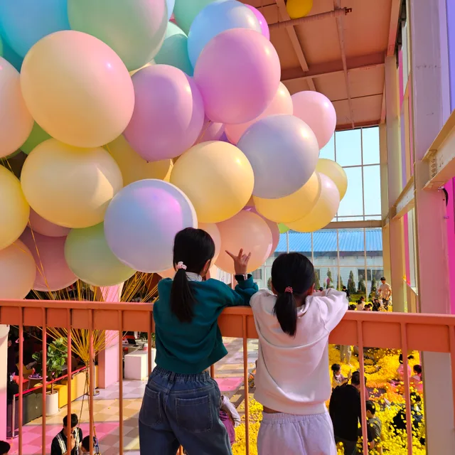 살구맘