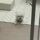 토스트