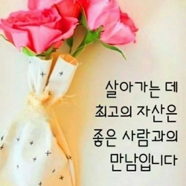 당근러버