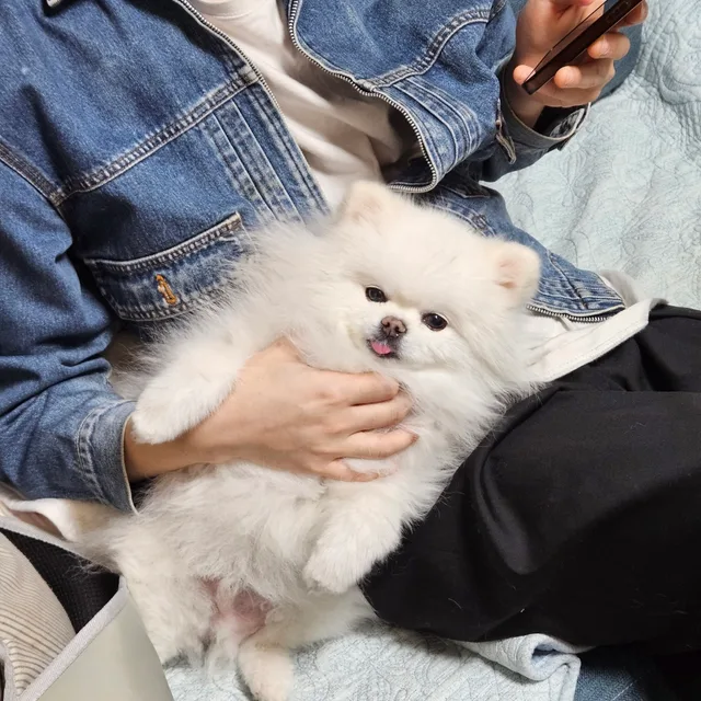 이해수