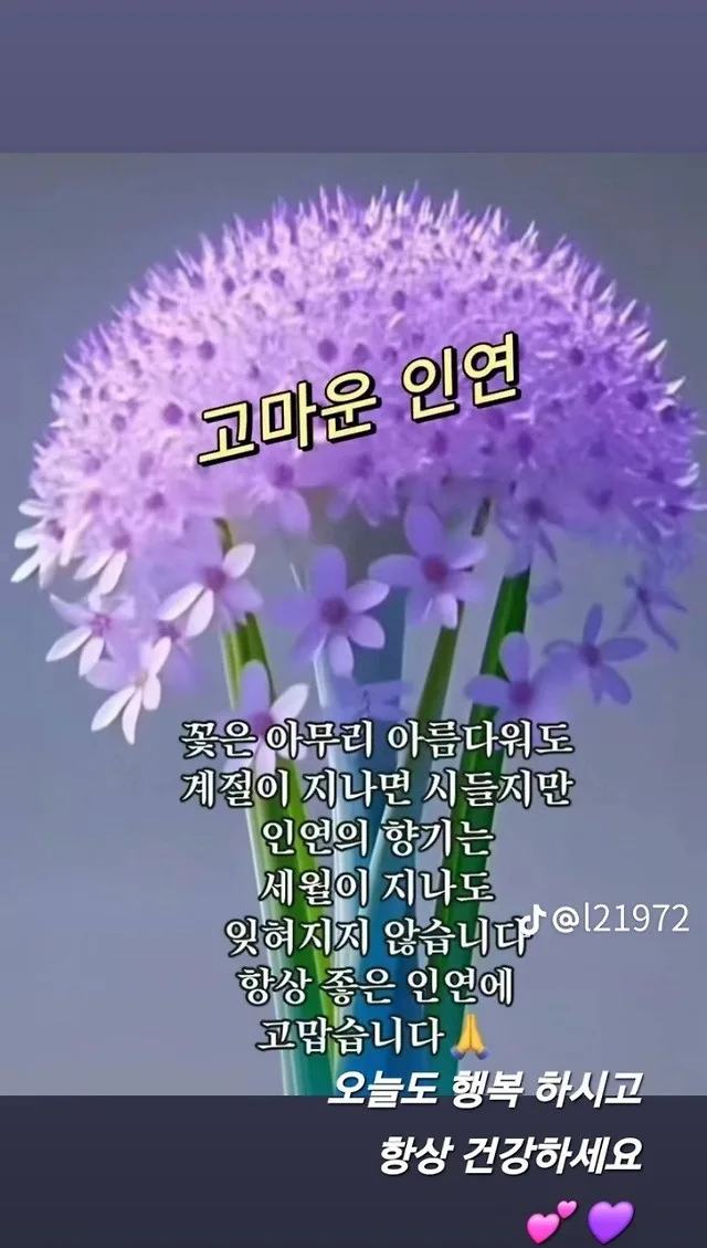 고마운당근