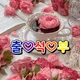 컨추리분평동