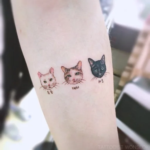 수니