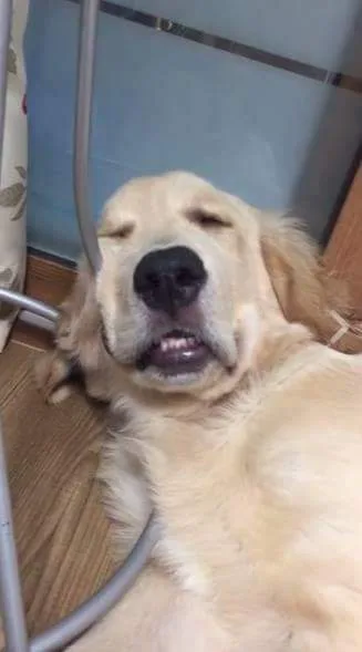 강웡동애줌먀