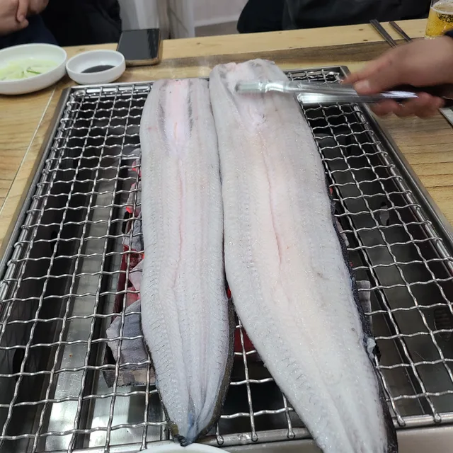 돼지꼬기
