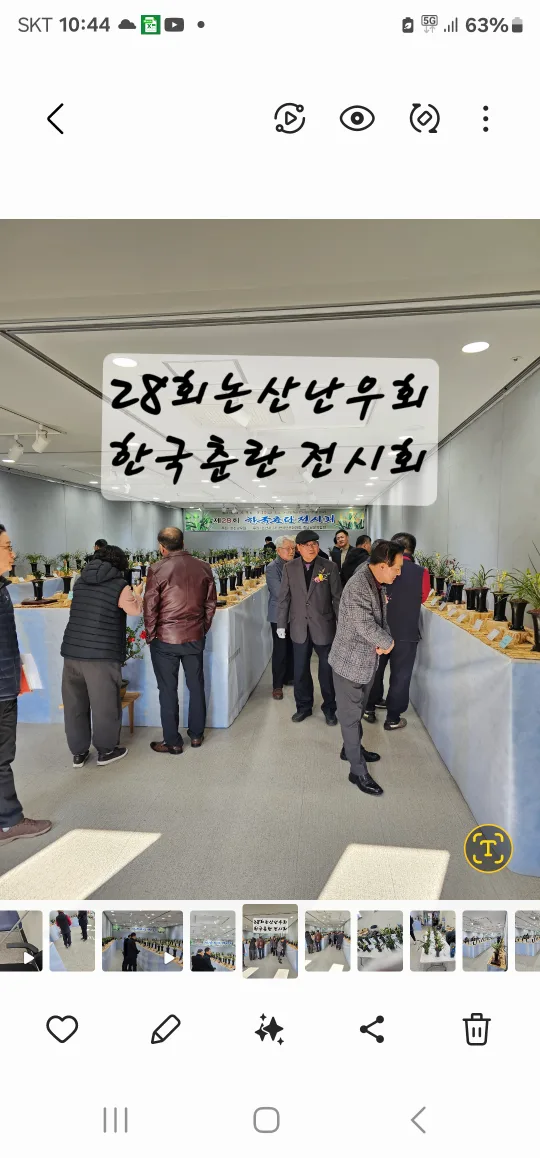 복색화