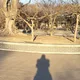 봄바람