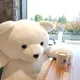 불곰