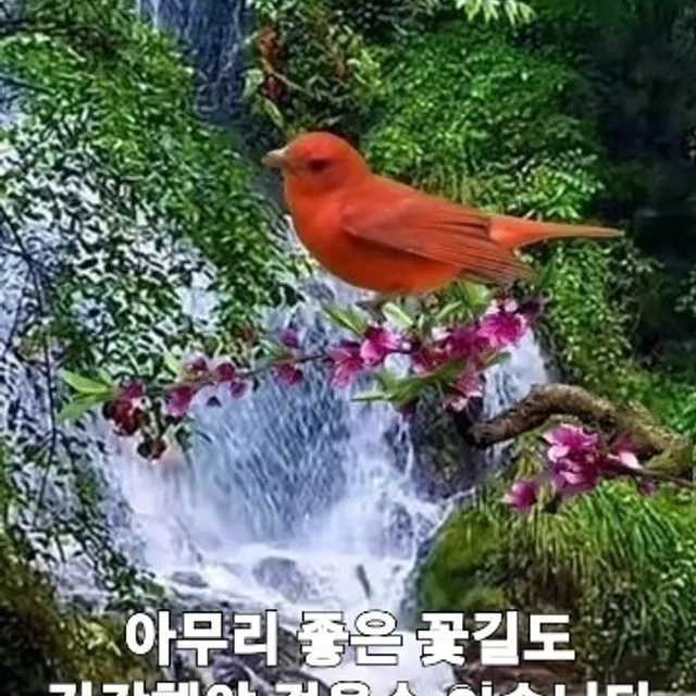 무지개